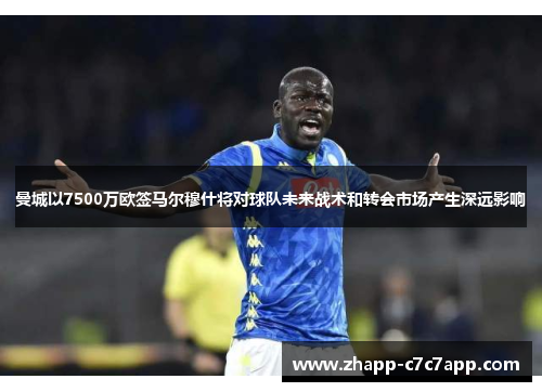 曼城以7500万欧签马尔穆什将对球队未来战术和转会市场产生深远影响 曼城以7500万欧签马尔穆什将对球队未来战术和转会市场产生深远影响